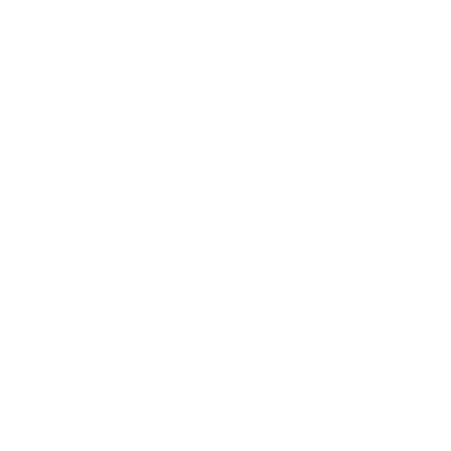 Triangle Life logo