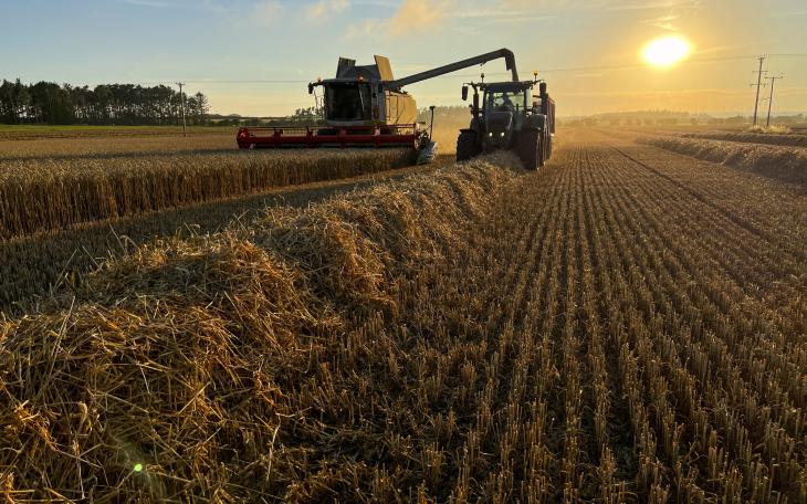 Farming